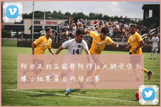 阿尔及利亚前锋阿穆拉大腿受伤无缘小组赛最后两场比赛