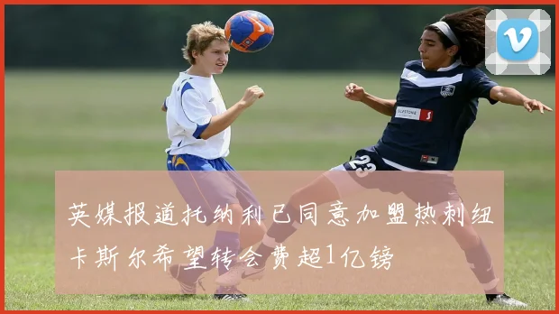英媒报道托纳利已同意加盟热刺纽卡斯尔希望转会费超1亿镑